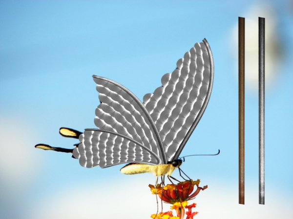 Creation of Butterfly Repair: Step 9